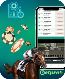 Betting Limits on BetPro